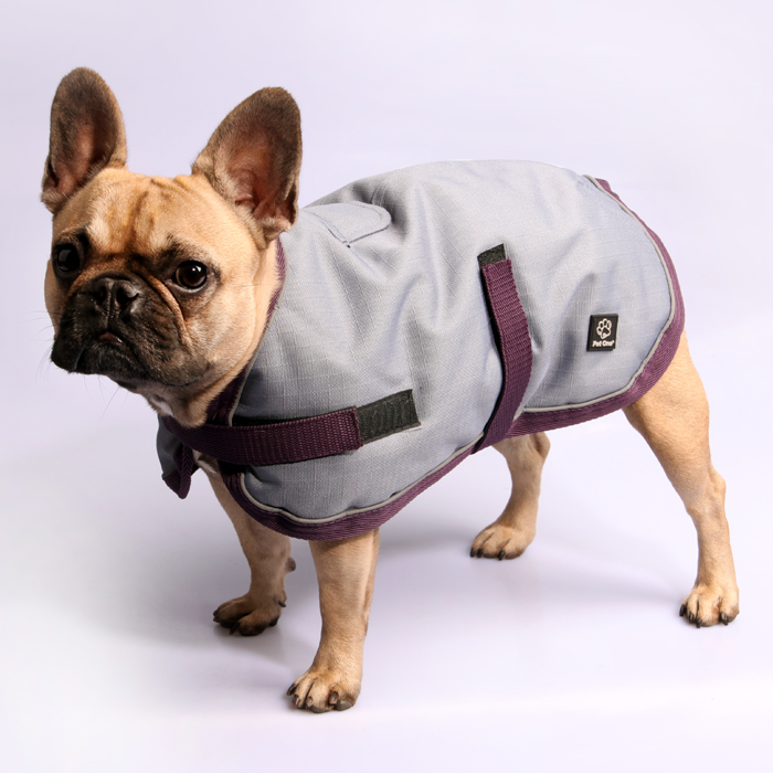 Pet One NightWalker Coat Dog Waterproof Reflective Grey/Burgundy 30cm - 80cm 