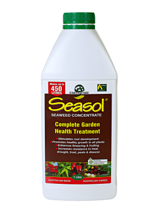 Seasol Seaweed Concentrate 1L 
