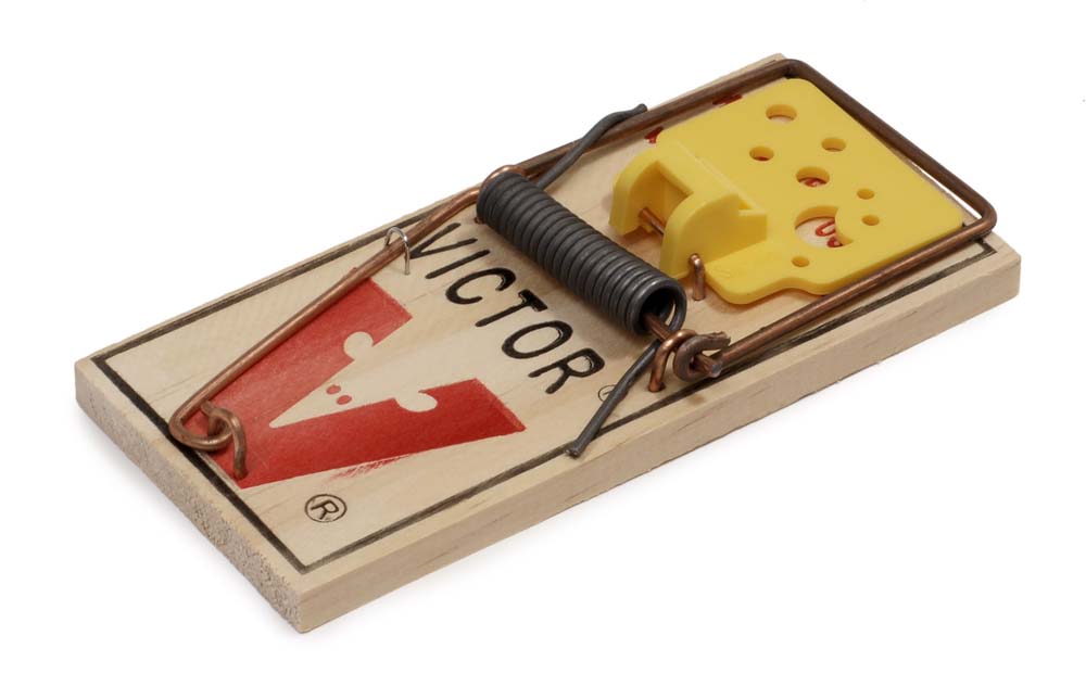 Victor Wooden Mouse Trap 2 Pack