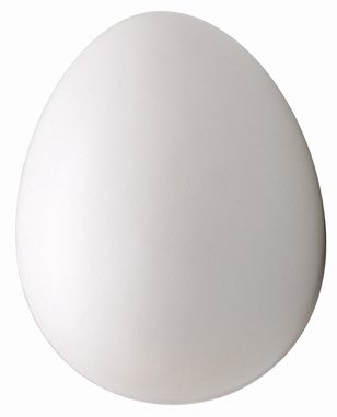 False Brooder Egg Plastic