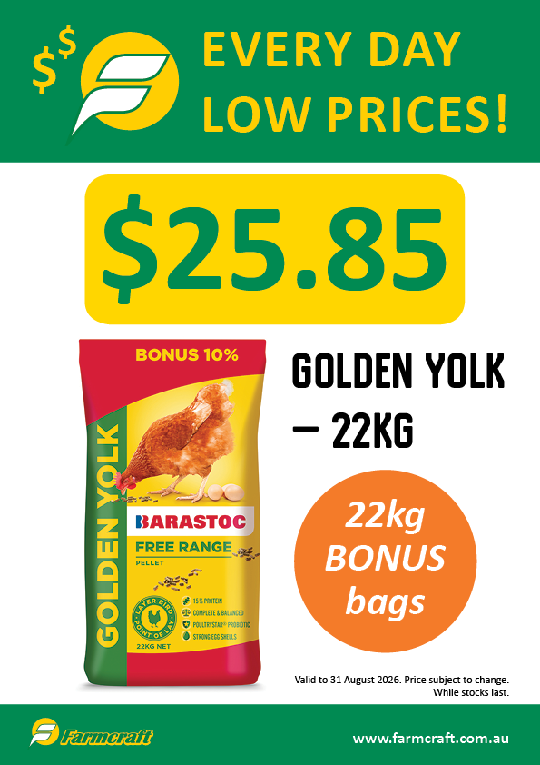 Golden Yolk 22kg bonus bag everyday low price at Farmcraft