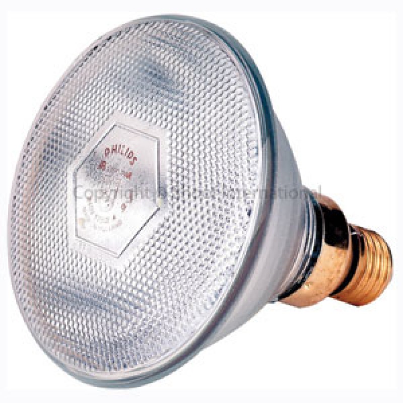 Brooder Lamp Infrared Phillip Clear 100w (Globe Only)