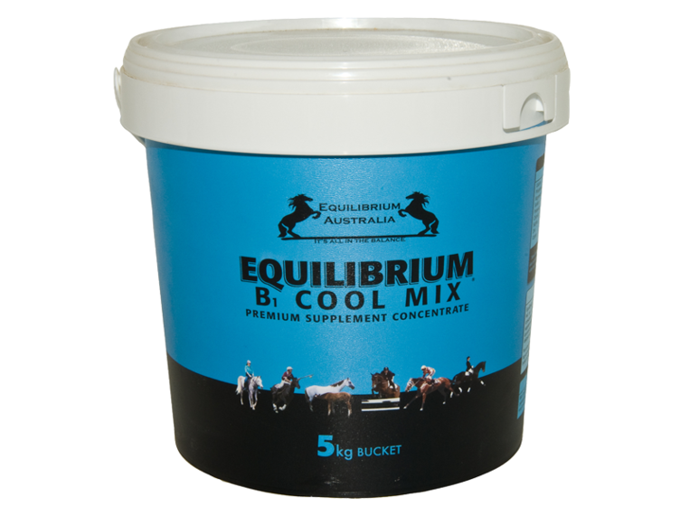 Equilibrium B1 Cool Mineral Mix (Blue)