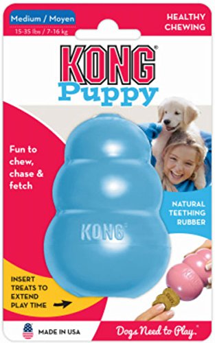 Kong Puppy - Medium 