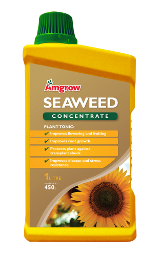 Amgrow Seaweed Concentrate 1L 