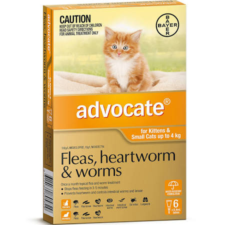 Advocate Kittens & Small Cats up to 4kg 6 Pack