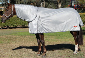 Zilco Econo-Air Combo Rug Various Sizes