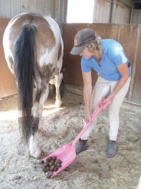 Stable Shovel Plastic  