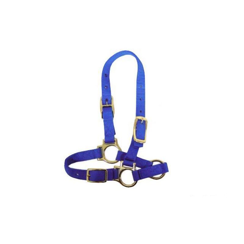 Bainbridge Halter for Sheep & Goats A2131