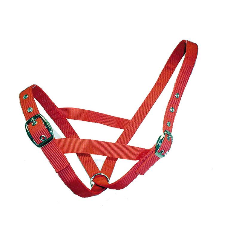 Halter Webbing Calf A2190 