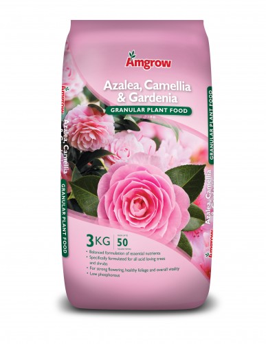 Amgrow Azalea Camellia & Gardenia Plant Food 3kg