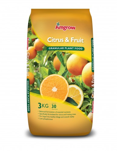 Amgrow Citrus & Fruit Granular Plant Food 3kg 