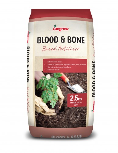 Amgrow Blood and Bone 5kg 