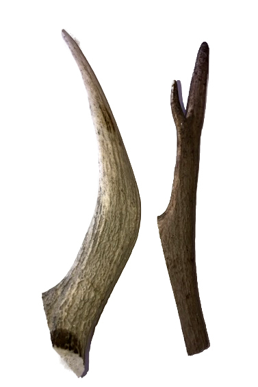 Deer Antler Treats Medium 95 g - 160 g each. 