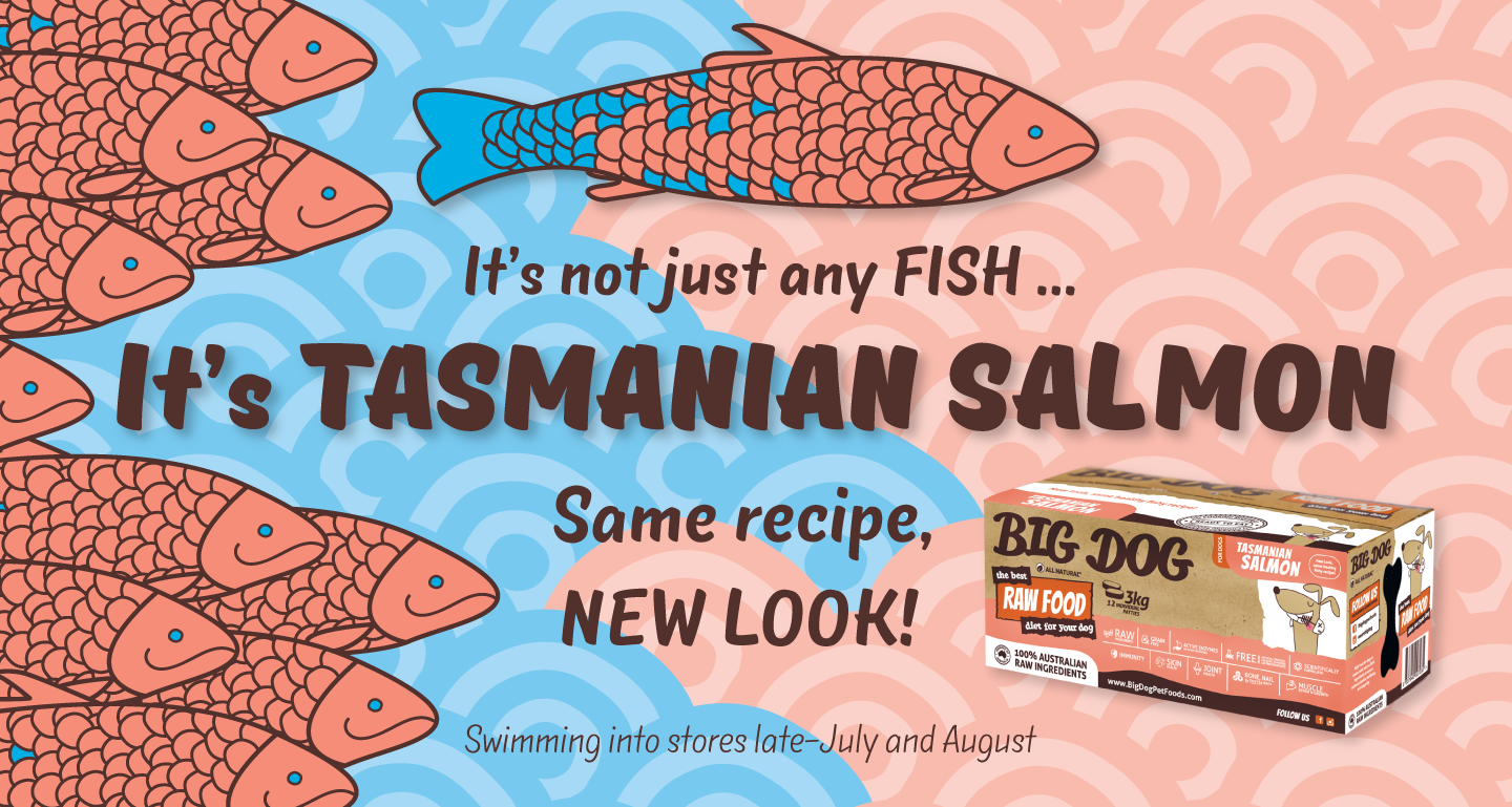 Big Dog RAW Food Diet Tasmanian Salmon 12 x 250G (3KG)