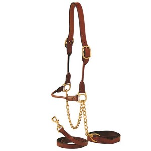 STC Rolled Show Cattle Halter Medium Brown CAT1250M BR 