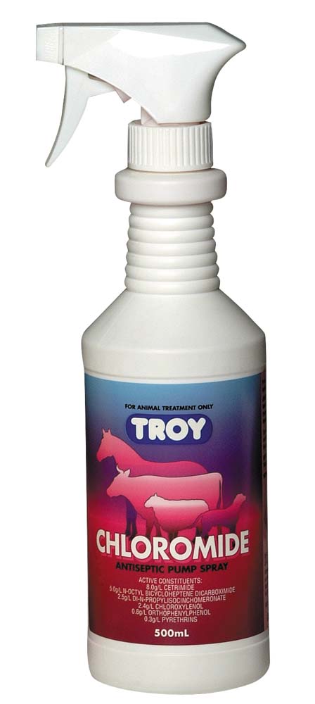 Troy Chloromide 500mL