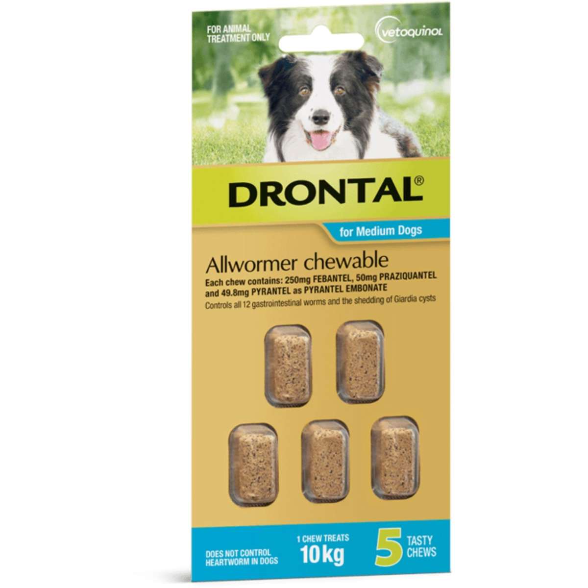Drontal Allwormer Dogs 10kg x 5 Chews