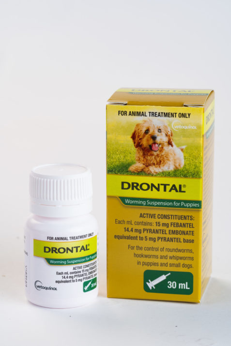 Drontal Worming Suspension for Puppies 30mL