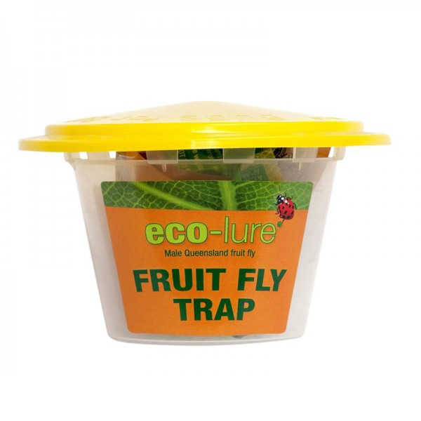 Eco-Lure Fruit Fly Trap