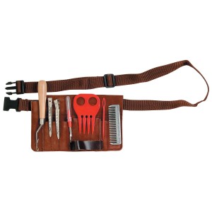 Professional Mane Braiding Kit 