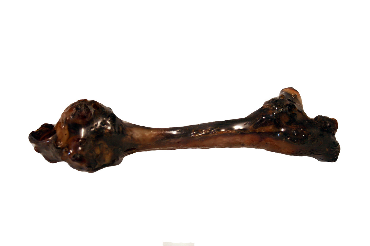 Kangaroo Bones