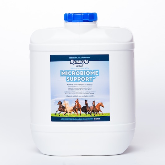 Dynavyte Microbiome Support 10L
