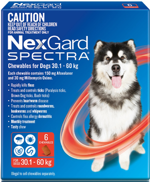 Nexgard Spectra Chewable for Dogs Extra Large 30.1 - 60kg 6 Pack