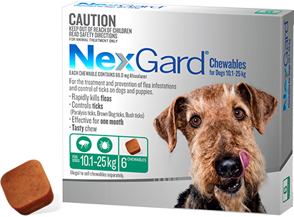 Nexgard Chewable for Dogs Large 10.1-25kg 6 Pack