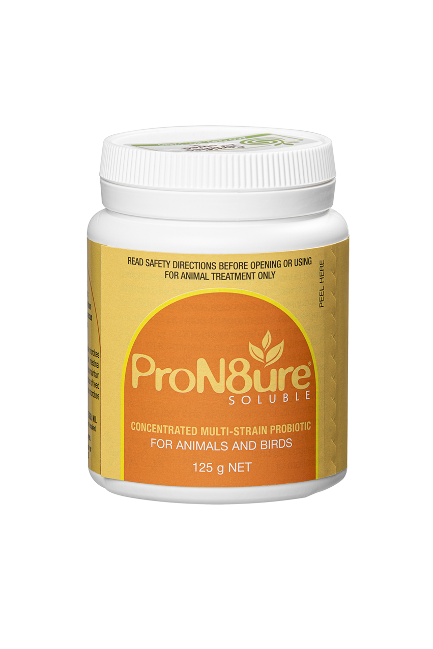 ProN8ure Soluble Orange 125g