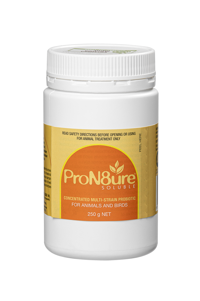 ProN8ure Soluble Orange 250g 