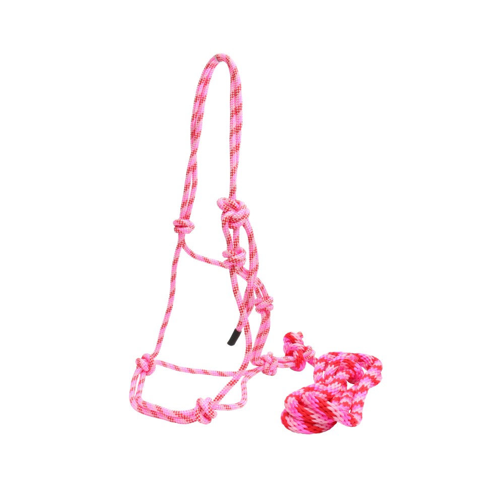 Horsemanship Halter with Lead Pink