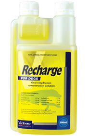 Recharge for Greyhounds 1L