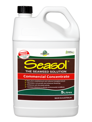 Seasol Commercial Seaweed Concentrate 5L