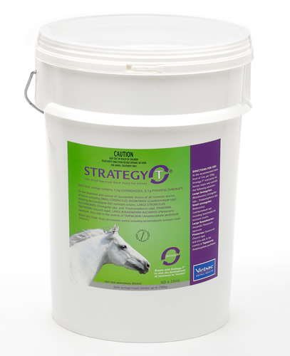 Virbac Strategy-T Worming Paste 35mL Bucket of 60