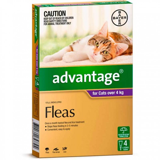 Advantage Cats Over 4kg 4 Pack