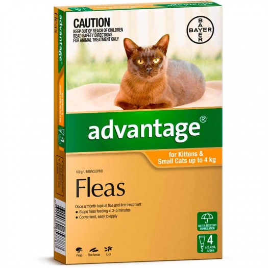 Advantage Kittens & Cats up to 4kg 4 Pack