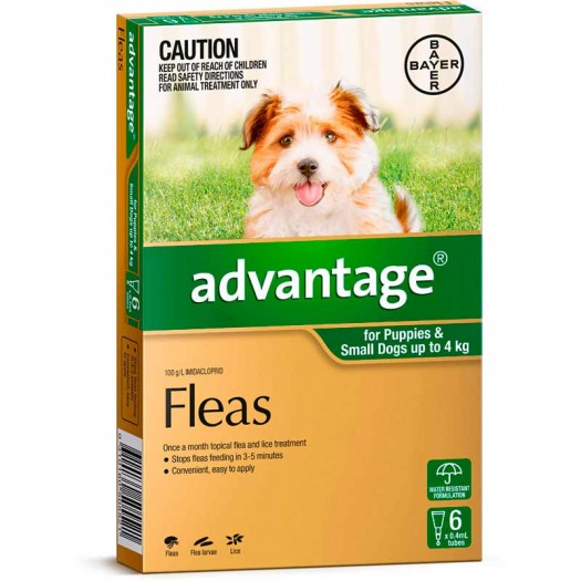 Advantage Puppies & Small Dogs up to 4kg 6 Pack