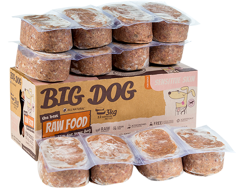 Big Dog RAW Food Diet Sensitive Skin 12 x 250G (3KG)