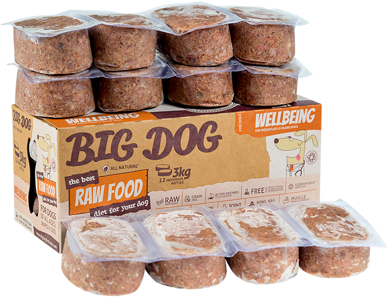 Big Dog RAW Food Diet Wellbeing 12 x 250G (3KG)