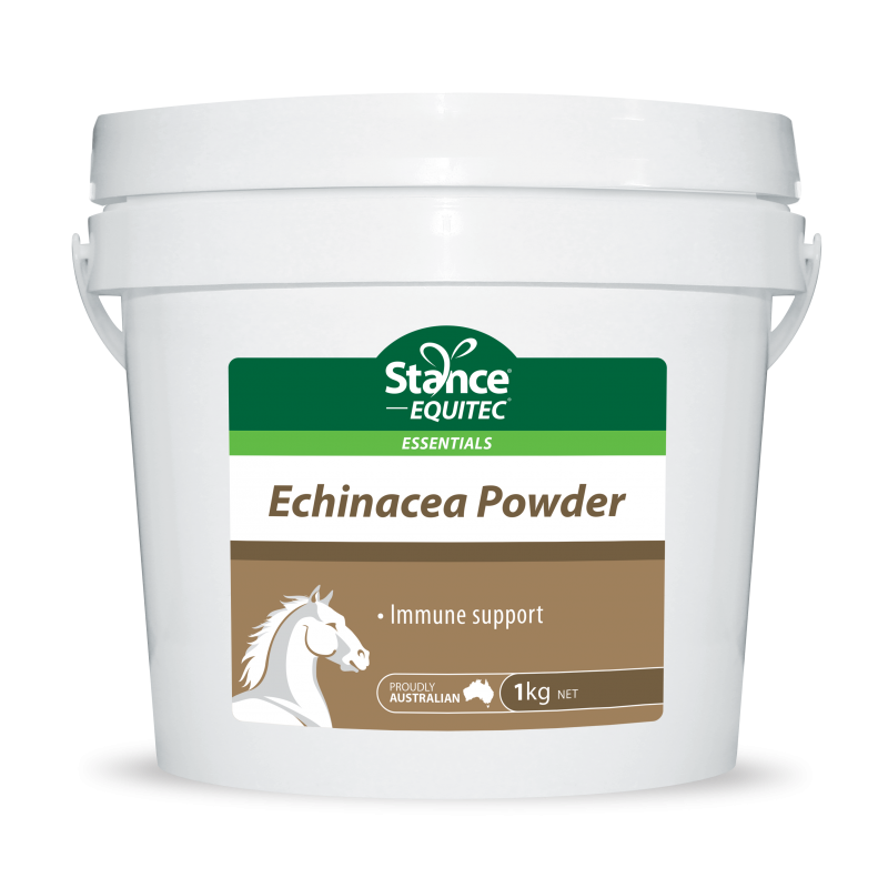 Equitec Echinacea Powder 1kg  