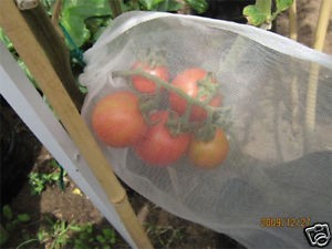 Ryset Fruit Protection Bags- Large 10pk 30cm x 30cm