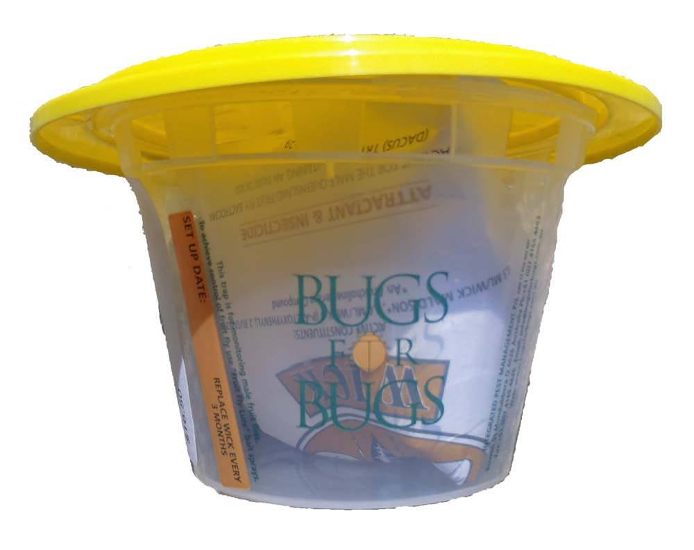 Bugs for Bugs Fruit Fly Wick Trap