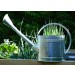 Galvanised Watering Can 9L Ryset