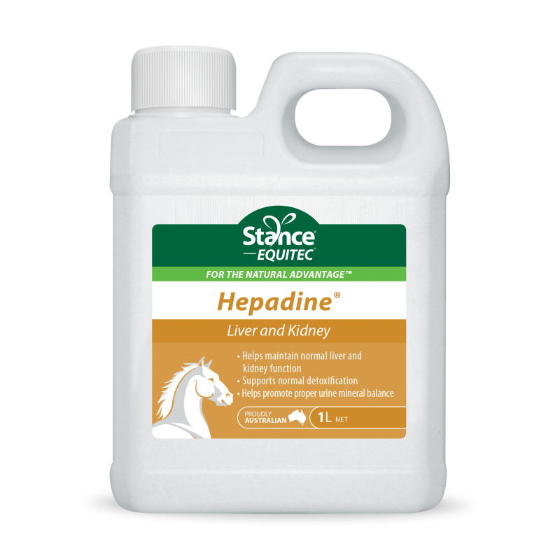 Equitec Hepadine 1L