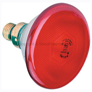 Brooder Lamp Infrared Phillip Red 100w (Globe Only)