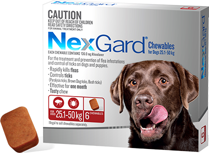 Nexgard Chewable for Dogs Extra Large 25.1-50kg 6 Pack