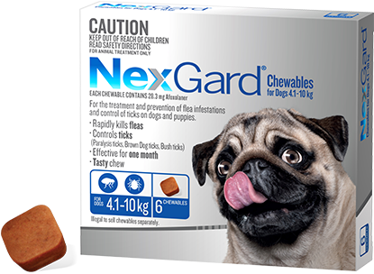 Nexgard Chewable for Dogs Medium 4.1-10kg 6 Pack