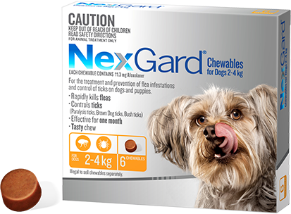 Nexgard Chewable for Dogs Small 2-4kg 6 Pack
