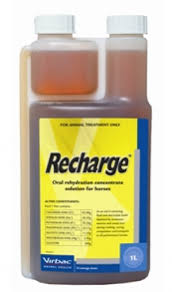 Virbac Recharge for Horses 1L